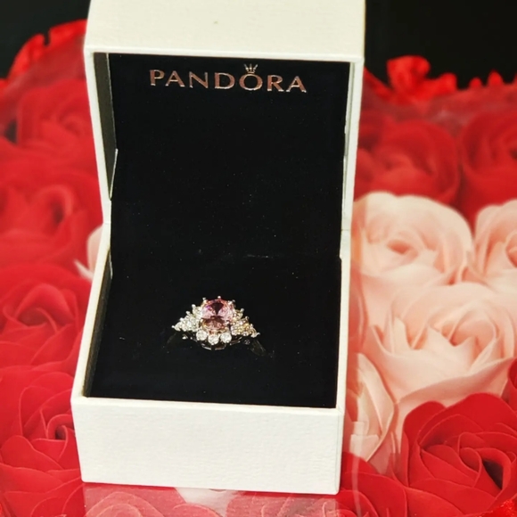 Meet your Posher, Sam - Picture 1 of 1